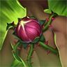 Xum Xuê skill icon